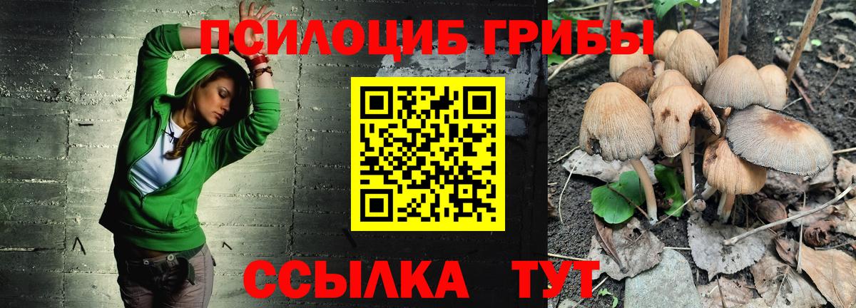 Псилоцибиновые грибы Magic Shrooms Качканар