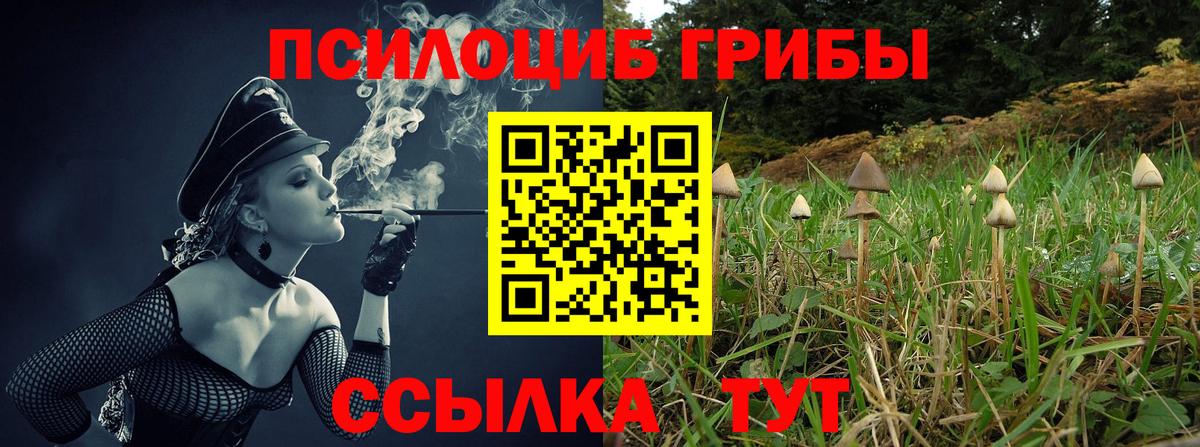 Галлюциногенные грибы мухоморы  Галлюциногенные грибы мухоморы  Вход с VPN  Качканар 